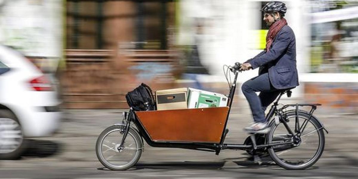 Man on cargo bike (Source:Kleine Zeitung)
