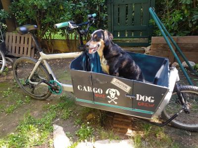 Gérard's Babboe cargo bike 